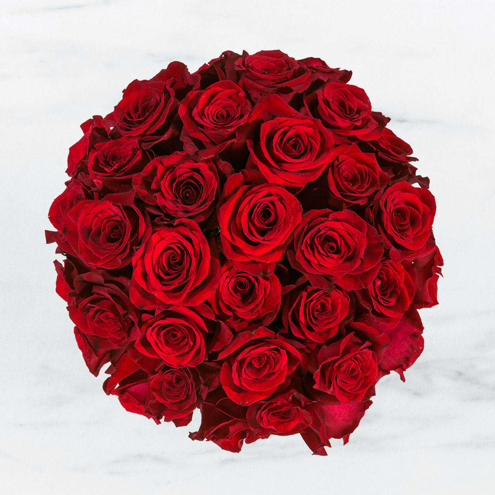 Three Dozen Red Roses