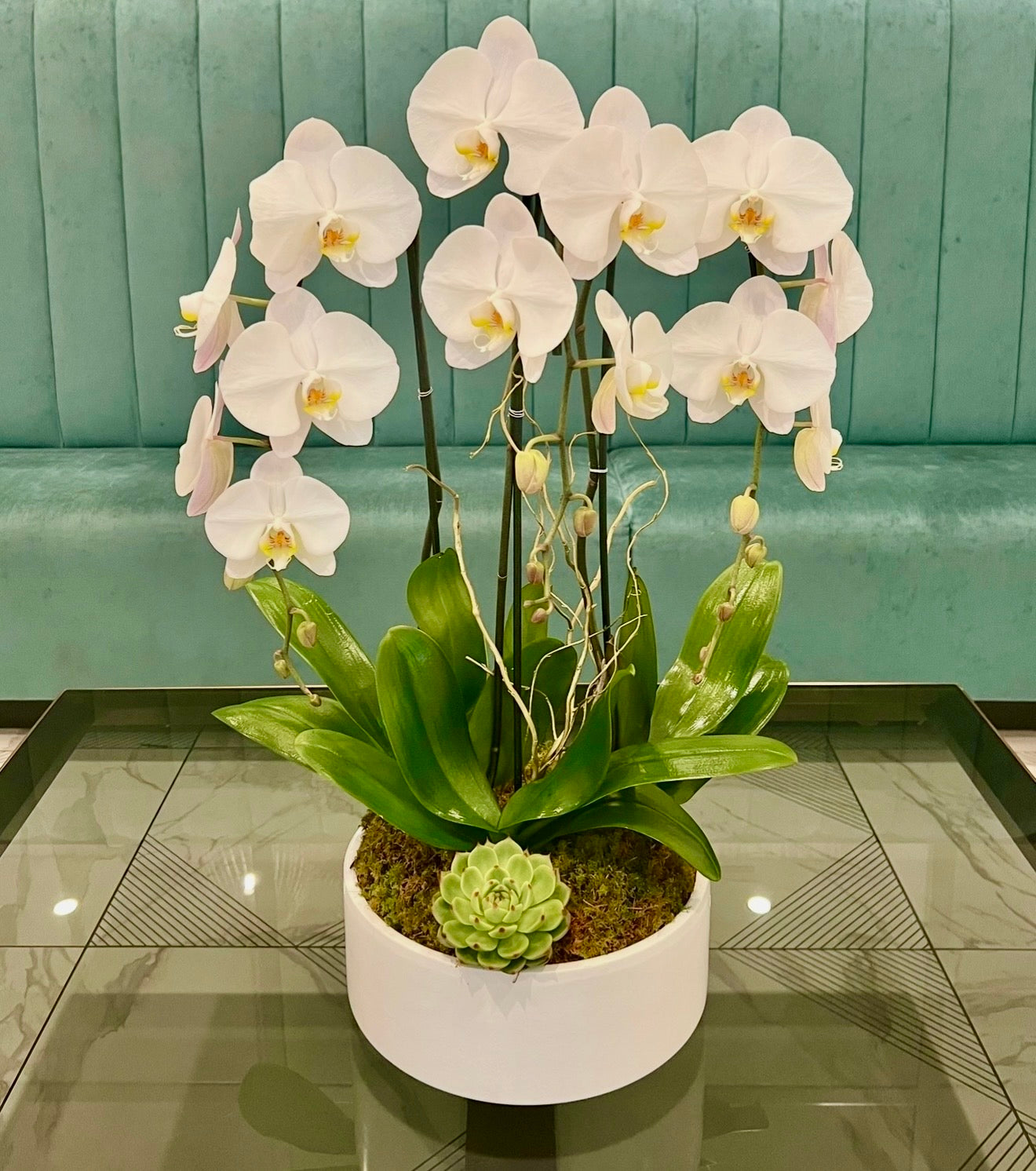 Orchid Trio