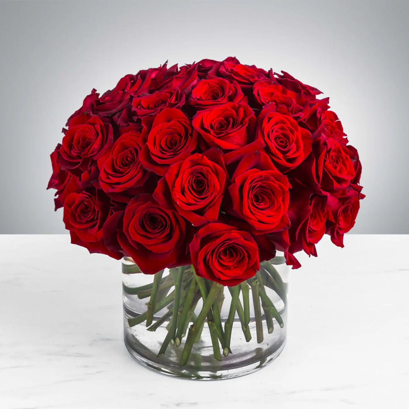 Three Dozen Red Roses