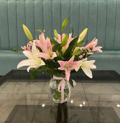 Lily Harmony