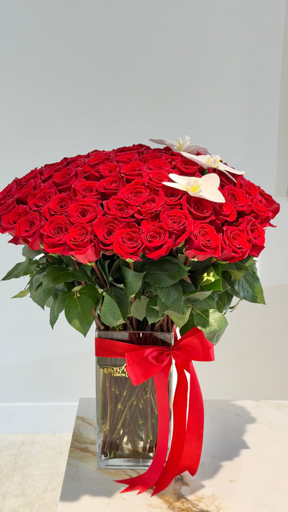 Luxury Pasión - 100 Red Roses