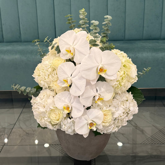 Orchid Hydrangeas Modern Design