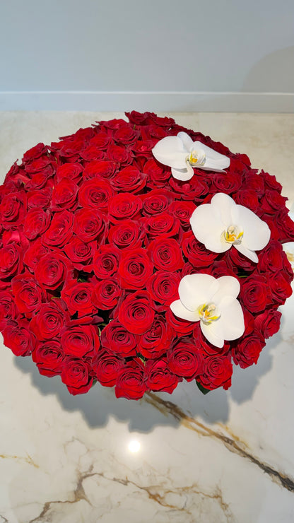 Luxury Pasión - 100 Red Roses