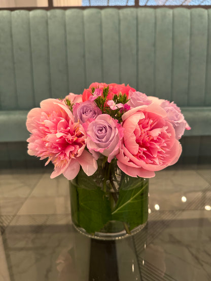 Peony Dreams,