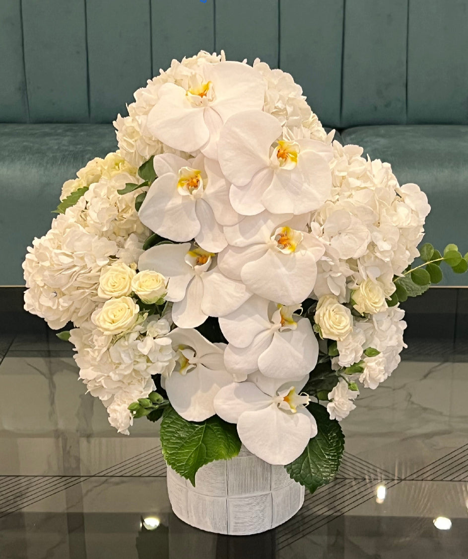 Orchid Hydrangeas Modern Design