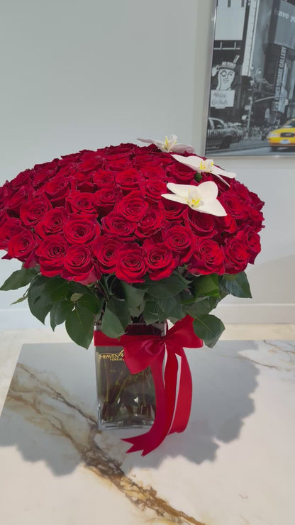 Luxury Pasión - 100 Red Roses