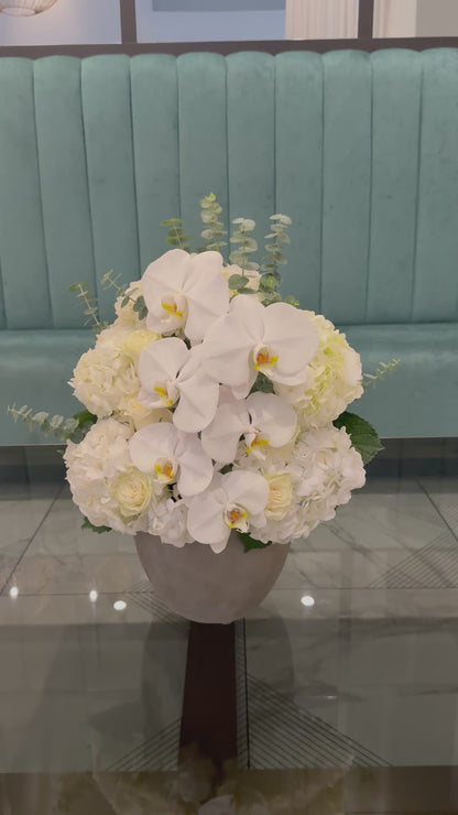 Orchid Hydrangeas Modern Design
